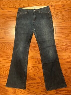 Joe's Jeans Dark Blue Flare Jeans